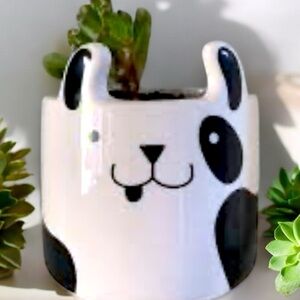 Adorable Porcelain Black & White Puppy Herb/Succulent planter By HORIZON GROUP